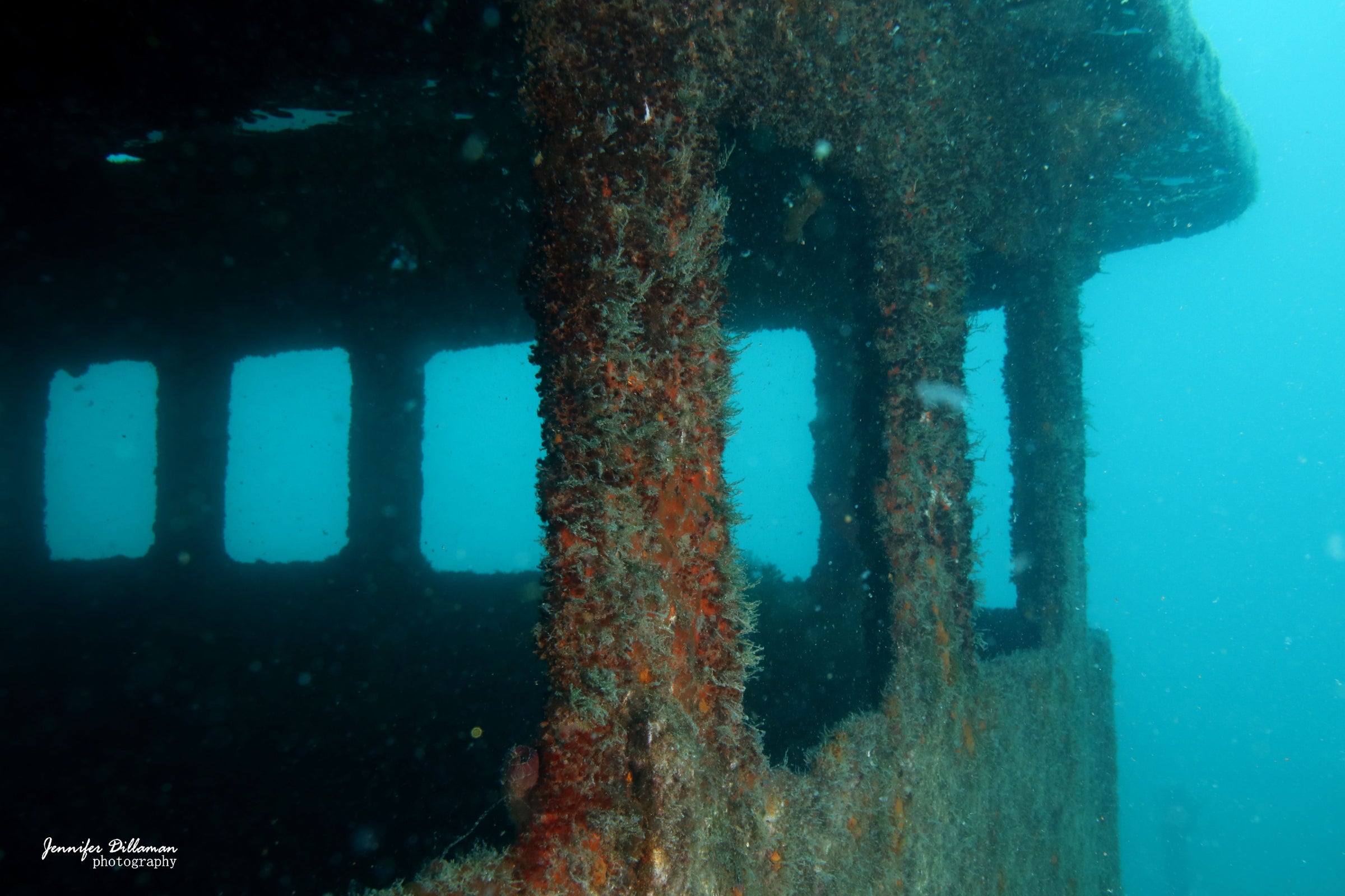 Shipwreck Diving  Scott's Scuba Service